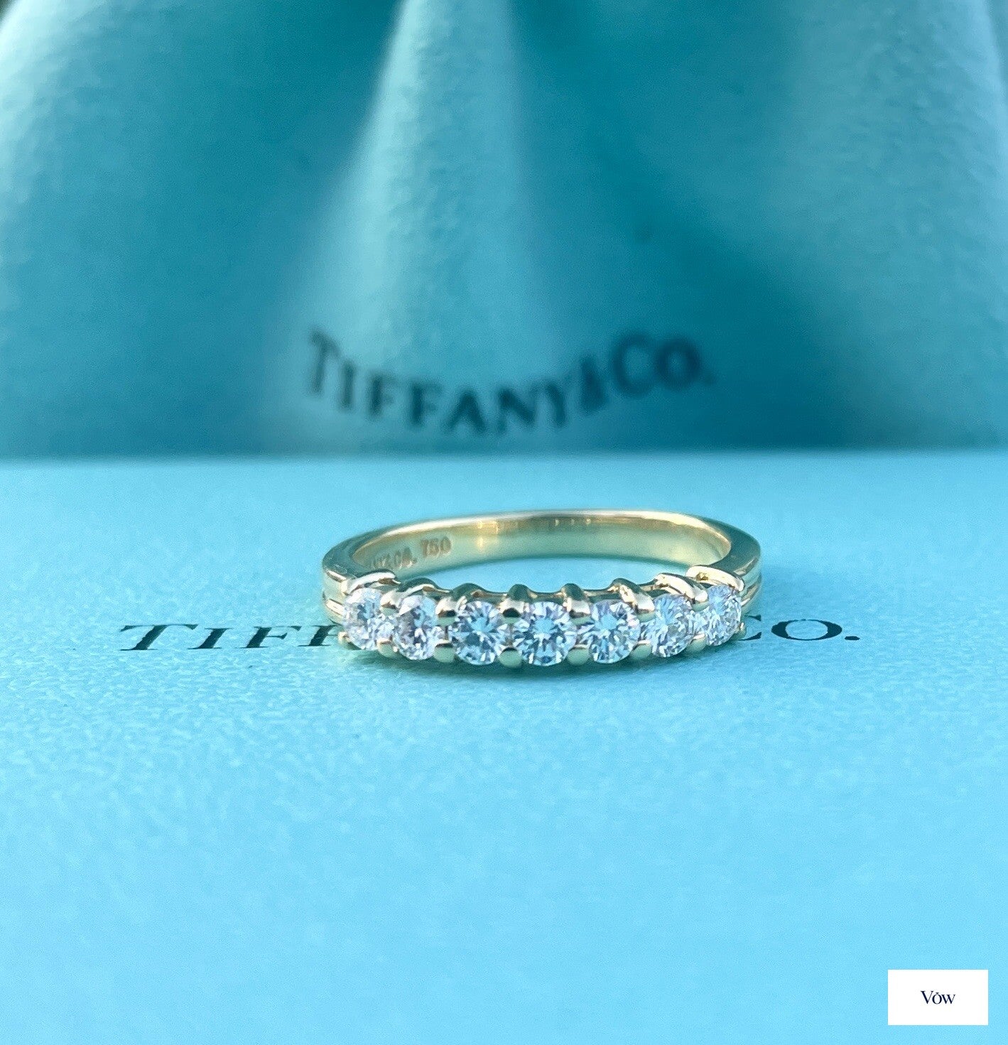 Tiffany & Co. Forever Embrace Eternity Diamond Band — 18k Yellow Gold — Authentic Pre-Owned